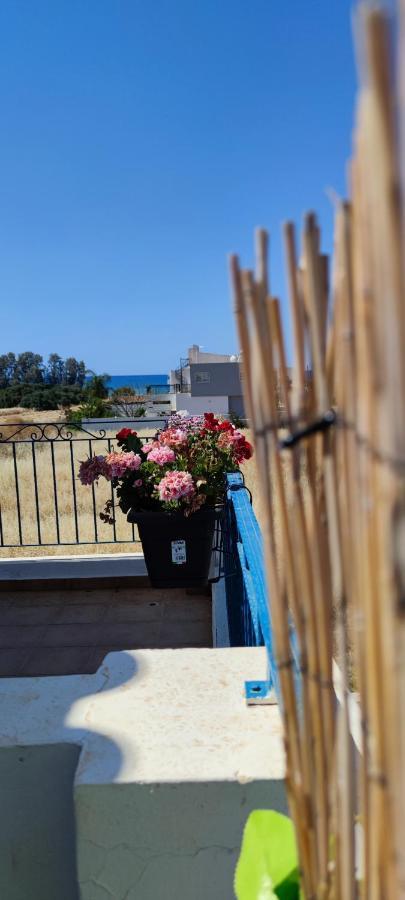 Thalassa Seaside Boutique Beach Apartment Polis Exterior photo